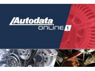 AUTODATA Online 1 - podstawowa